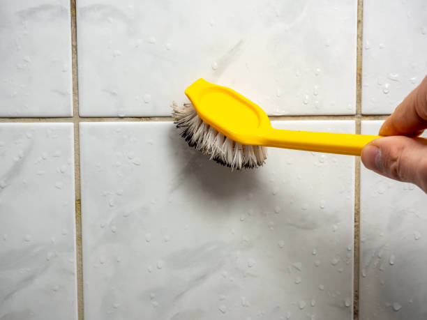 Best Attic Mold Removal  in Upland, PA