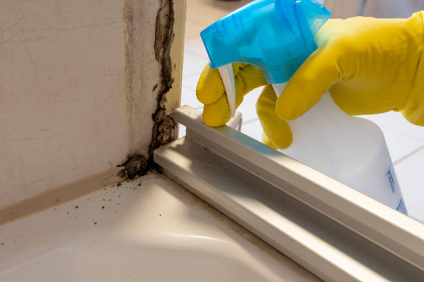 Best Residential Mold Removal  in Upland, PA